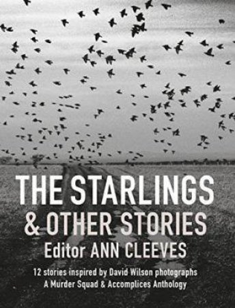 Starlings and Other Stories by MURDER SQUAD AND ACCOMPLICES