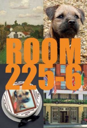 Room 225-6: A Novel by Karsten Schubert