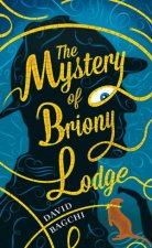 The Mystery Of Briony Lodge