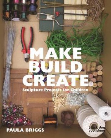 Make Build Create: Sculpture Projects For Children by Paula Briggs