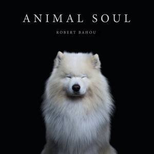 Animal Soul by Robert Bahou