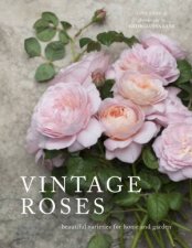 Vintage Roses Beautiful Varieties For Home And Garden