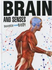 Discover Your Body Brain and Senses