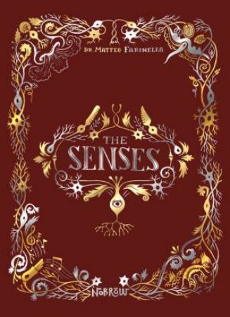 The Senses by Matteo Farinella