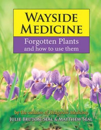 Wayside Medicine: Forgotten Plants To Make Your Own Herbal Remedies by Julie Bruton-Seal & Matthew Seal