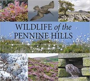 Wildlife Of The Pennine Hills by Doug Kennedy