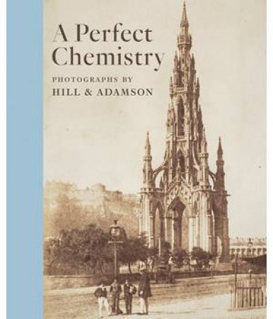 A Perfect Chemistry by Anne M. Lyden