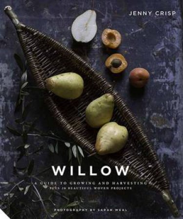 Willow by Jenny Crisp