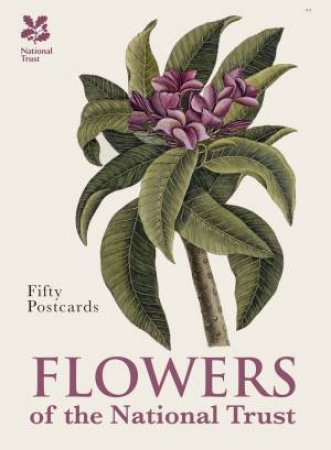 Flowers Postcard Book: 30 Botanical Cards For Colouring In by Various