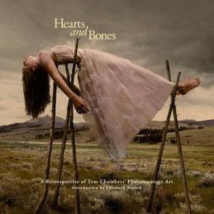 Hearts and Bones by Tom Chambers