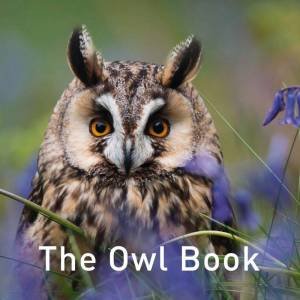 Owl Book by JANE RUSS