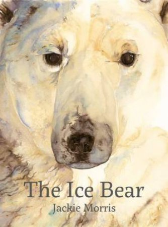 Ice Bear by JACKIE MORRIS