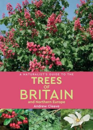 A Naturalist's Guide To The Trees Of Britain And Northern Europe (2nd Ed) by Andrew Cleave