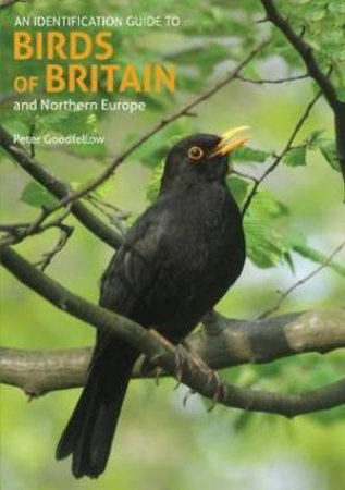 An Identification Guide To Birds Of Britain And Northern Europe 2nd Ed. by Peter Goodfellow