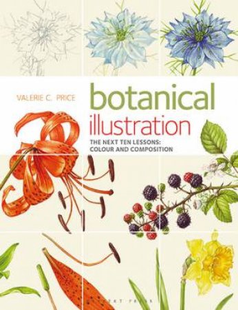 Botanical Illustration The Next Ten Lessons: Colour And Composition by Valerie C. Price