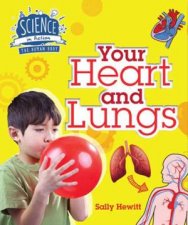 Human Body Your Heart and Lungs