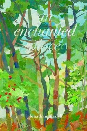 An Enchanted Place by Jonathan Stedall