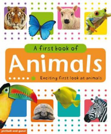 First Book of Animals by PICTHALL & GUNZI