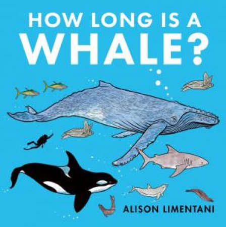 How Long Is A Whale? by Alison Limentani