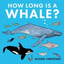 How Long Is A Whale