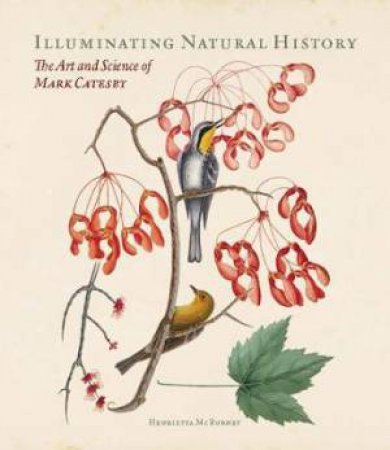 Illuminating Natural History by Henrietta McBurney