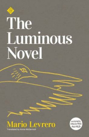 The Luminous Novel by Mario Levrero & Annie McDermott