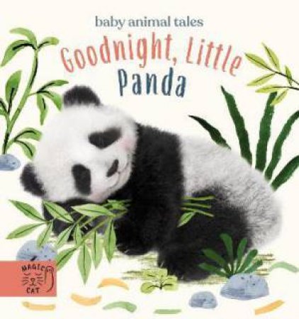 Goodnight, Little Panda by Amanda Wood & Bec Winnel & Vikki Chu