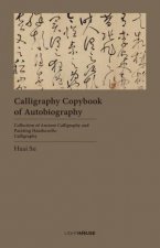 Calligraphy Copybook Of Autobiography