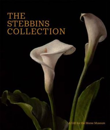 Stebbins Collection: A Gift For The Morse Museum by Regina Palm