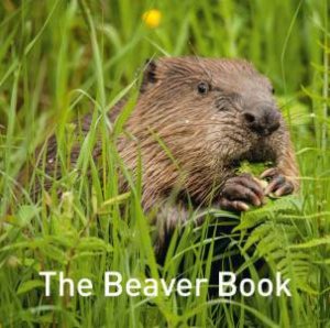 Beaver Book by HUGH WARWICK