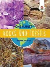 One Planet Rocks and Fossils