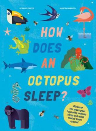 How Does An Octopus Sleep? by Octavio Pintos & Martin Iannuzzi