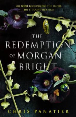 The Redemption of Morgan Bright by Chris Panatier