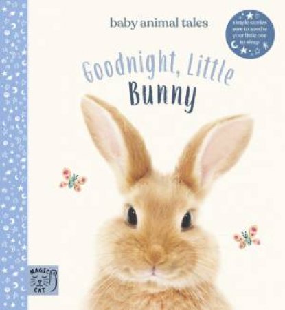 Goodnight, Little Bunny by Amanda Wood & Bec Winnel & Vicki Chu