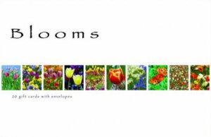 Blooms Gift Card Pack by Peter Emanuel