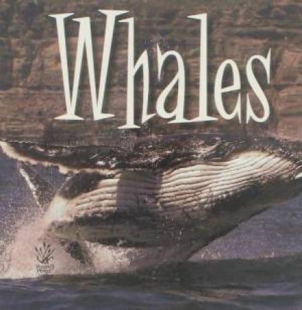 Whales by Various