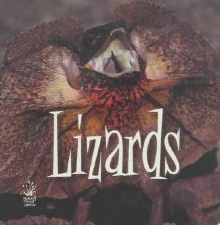 Lizards by Various