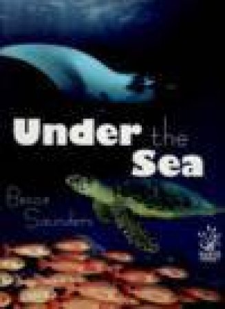 Under The Sea by Becca Saunders