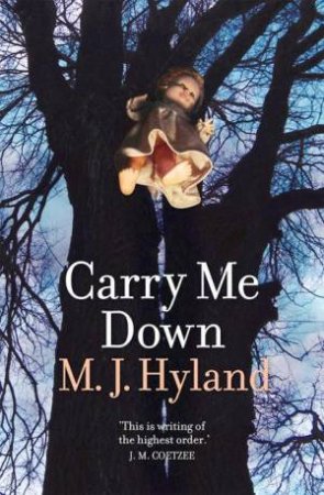 Carry Me Down by M J Hyland