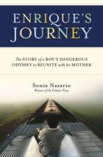 Enriques Journey