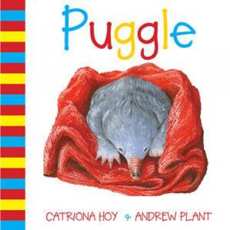 Puggle by Catriona Hoy