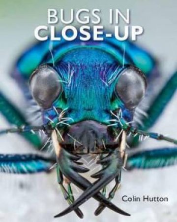 Bugs in Close-Up by Colin Hutton