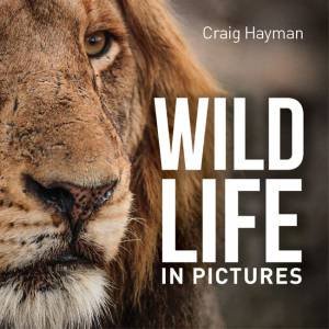 Wildlife In Pictures by Craig Hayman