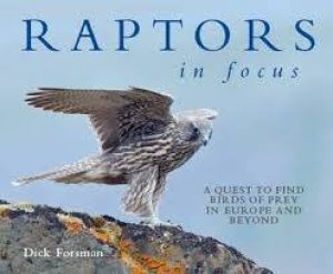 Raptors In Focus: A Quest To Find Birds Of Prey In Europe And Beyond by Dick Forsman