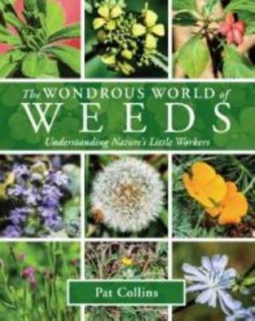 Wonderous World Of Weeds by Pat Collins