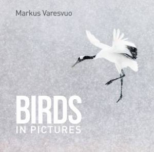 Birds In Pictures by Markus Varesvuo