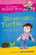 Slowcoach Turtle