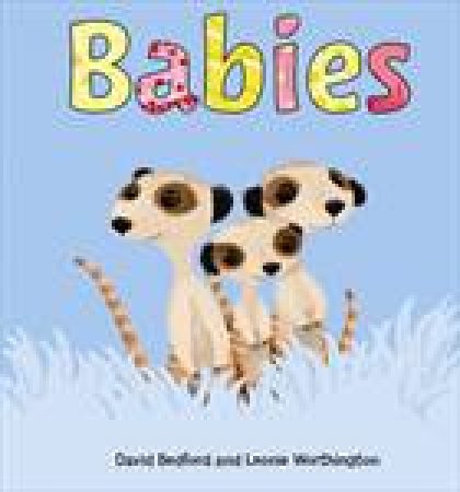 Babies by David Bedford