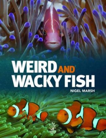 Weird And Whacky Fish by Marsh Nigle