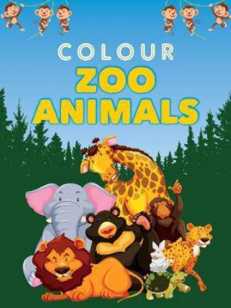 Colour Zoo Animals by Various